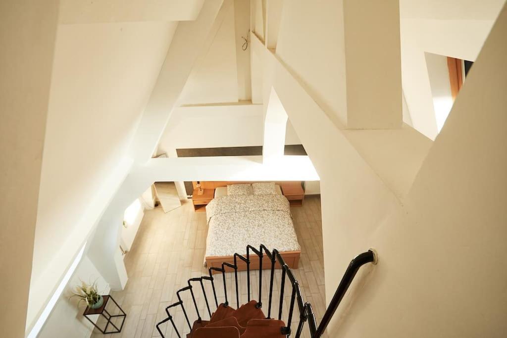 Appartement Grand Center Of *